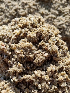 花岗岩机制沙