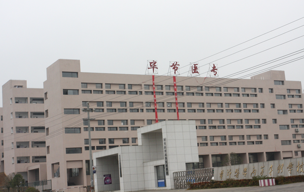 毕节医专枫叶红荔枝面干挂1.png