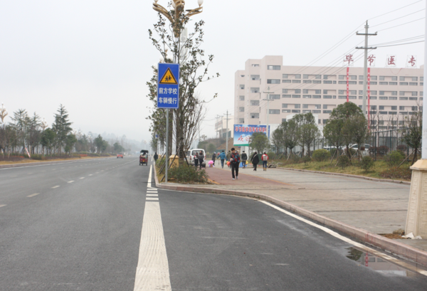 毕节医专枫叶红荔枝面干挂3.png
